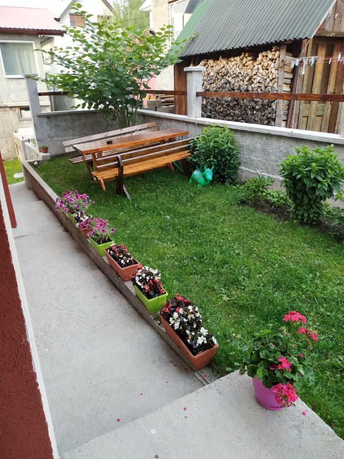 Apartments Bozovic Žabljak 外观 照片