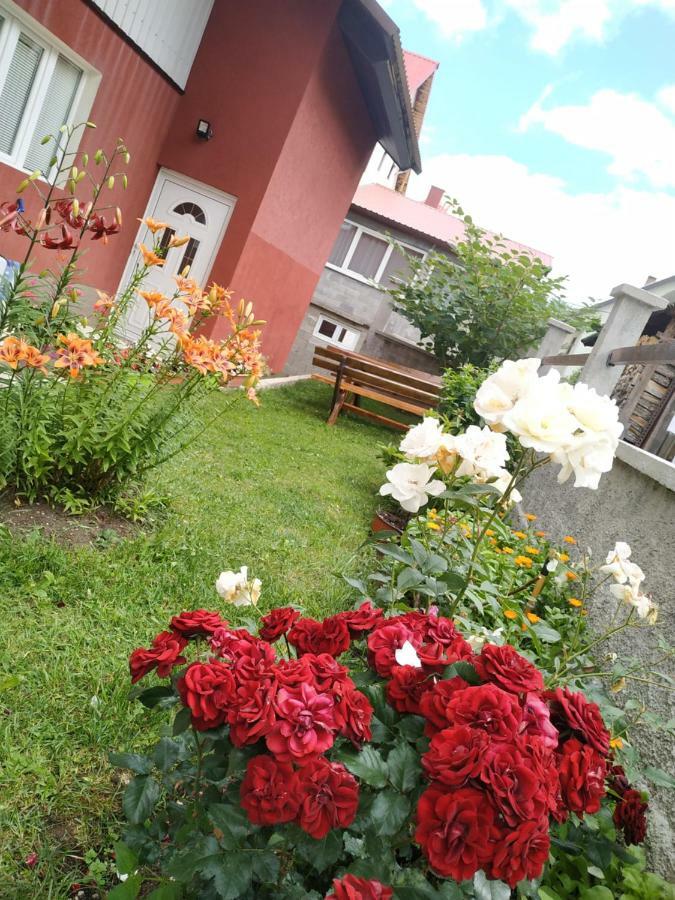 Apartments Bozovic Žabljak 外观 照片