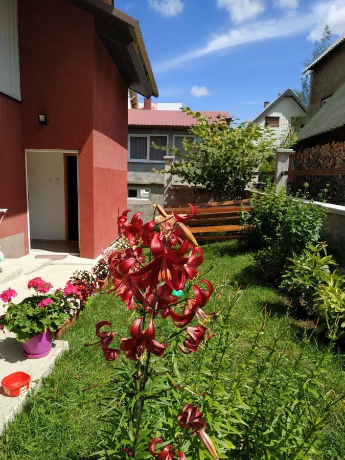 Apartments Bozovic Žabljak 外观 照片